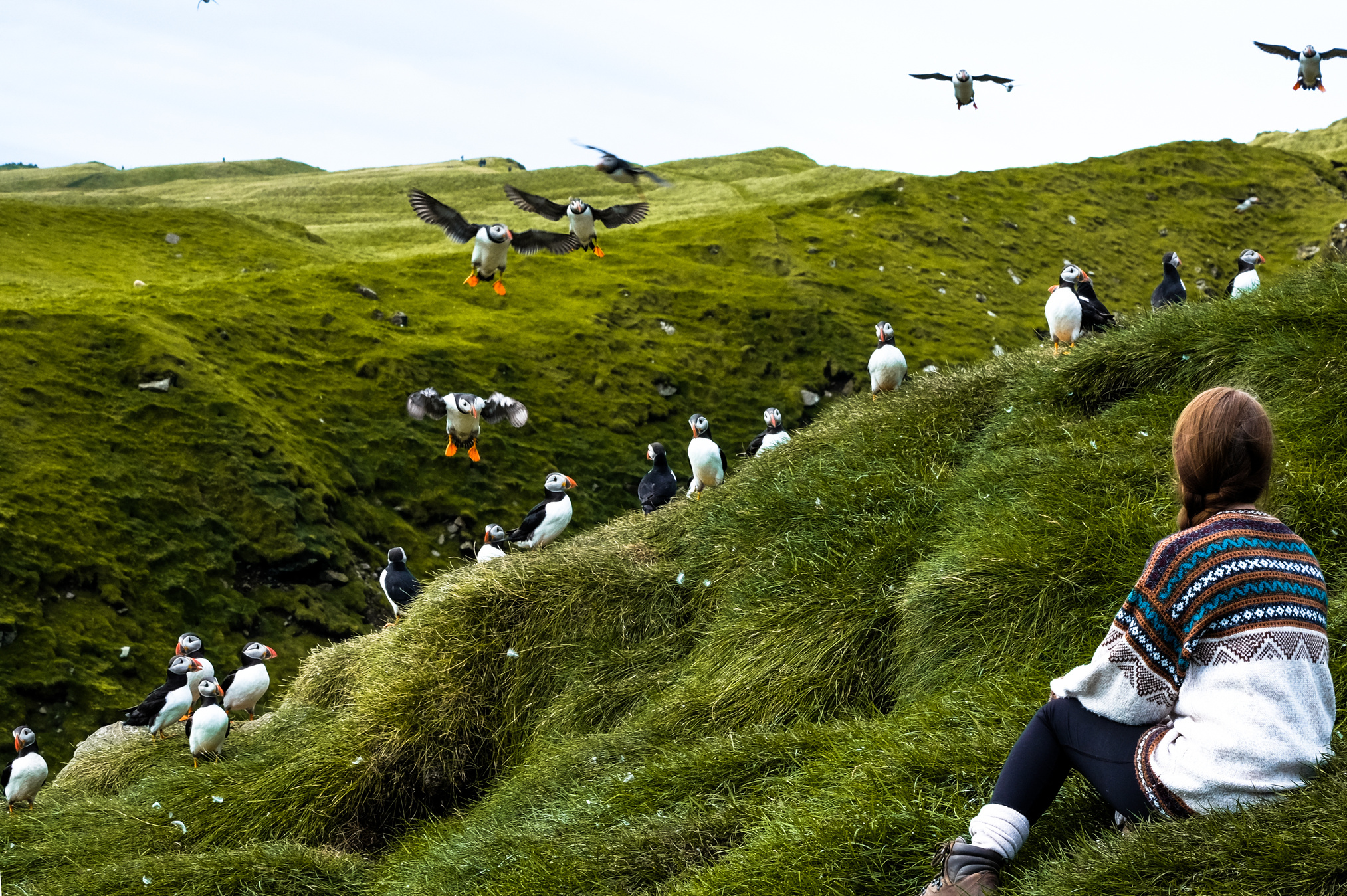 Faroe Islands